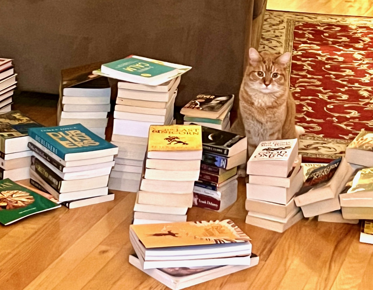 a tabby cat sitting among piles of books