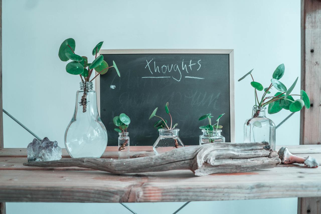 an image of a blackboard with the word thoughts written on it. In the foreground are cuttings of plants in vases filled with water.